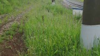 Пл. Водораздел. электропоезд с  Сообщением Красноярск - Чернореченская