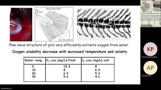 Biochemistry 5 November BE 2567