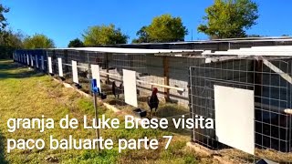 mejores galleras del mundo granja de Luke Brese visita paco baluarte parte 7