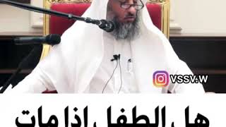 الشيخ عثمان الخميس | هل الطفل اذا مات يشفع لأهله ؟