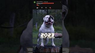 2023 Bulldog vs 5000 bce Bulldog #viral #shorts