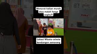 Menurut kalian terjangkau tidak guys ?  #mudiklebaran #liburansekolah #celosia #fyp  #shortviral