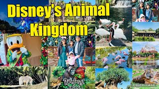 Experience the Thrills of Animal Kingdom: Walt Disney World Vlog | Orlando Travel Day 3 !