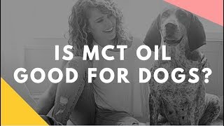 Is MCT oil good for dogs too?