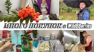 VLOG: ОТКАЗАЛА МУЖУ/Выбираю КОМПРЕССИОННЫЕ ЧУЛКИ/Купили ПАЛЬМУ/ПОКУПКИ для СЕБЯ И РЕБЕНКА