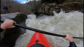 Sending the Silverback | Green Narrows 19"