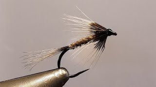 Magnet nymph