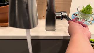 Delta Faucet Lenta Brushed Nickel Kitchen Faucet, Kitchen Faucets