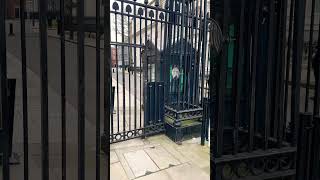 Outside the security gates at Downing Street #londonlandmarks #iconiclondon #londonwalk