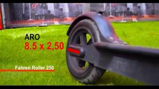 Scooter  Fahren ROLLER 250