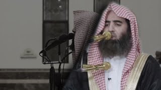 تلاوه محمد اللحيدان افمن شرح الله صدره للإسلام #قرآن #قران_كريم