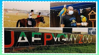 UAE Pygmy Zoo Ajman ||  Friendly Zoo in UAE || Animals Park in Ajman