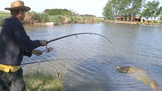 Pecanje šarana i amura na jezeru Vojvoda Stepa - Opština Nova Crnja - Vojvodina | Carp fishing