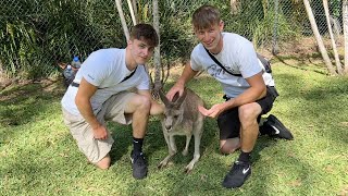 Visiting the Biggest Zoo in Australia!