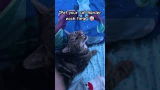 I'm not abusing him! ^_^ #catsorganizedneatly #catproblems #cat #funny #pets #catlover #funnycat