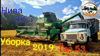 День 4 Продолжение  уборки пшеницы Комбайном нива СК-5 и Газ 53 🔴 Молдова 2019