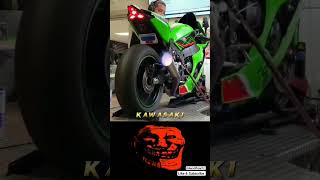 Bmw 😈VS Kawasaki☠️Flames 🔥#bmw #kawasakininja #viral #shorts #youtubeshorts #superbike #shortsfeed