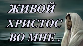 Живой Христос во мне . 🙏❤️ #христианскиепесни  #христианскиестихи  #христианскиепритчи