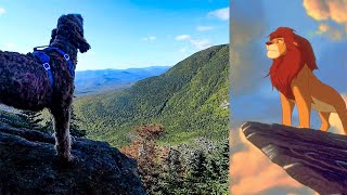 Meals in mountain hit different, Backpacking Wildcat Carter Range, White Mountains, hiking with kids