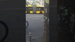 Маршрут 6 (Б-Т90117 #2338) #trolleybus #shorts