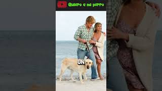 34 🎥🐕TOP 5 PELICULAS CON UN PERRO COMO PROTAGONISTA 🎥🐕 | QuieroAMiPerro ❤️