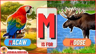 Letter M | Animal Encyclopedia | ABC Animals for Kids, Homeschooling