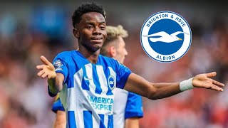 Simon Adingra-The Ivorian Master Dribbler In Brighton