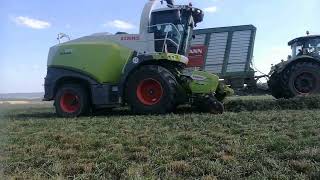 Senáže u Bělé u Jevíčka 2024 | 4x Claas, Deutz Fahr, Case IH