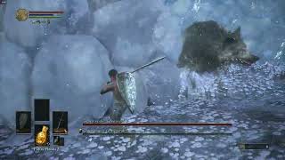 Sl1 No roll/block/parry Champion's Gravetender and Greatwolf - Dark Souls III