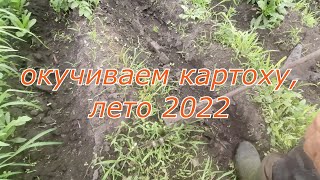 Окучиваем картоху, 02.07.22г.