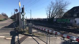 Verkehr in Hattenheim mit FLIRT  Zügen der VIAS und Güterzugloks