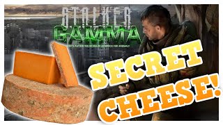 S.T.A.L.K.E.R Anomaly Gamma | SECRET CHEESE!