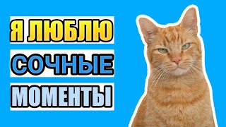 ЛУЧШИЕ ПРИКОЛЫ Августа 2022!!! 7 МИНУТ СМЕХА!!! Приколы 2022