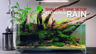 SHALLOW TANK SETUP - Tạo một Hồ Thuỷ Sinh khung cảnh Suối Mùa Mưa.