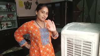 Cleaning My Air Cooler | Village Woman Daily.Routine Work