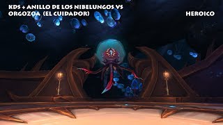 ORGOZOA HC - PALACIO ETERNO - KDS + Anillo de los Nibelungos