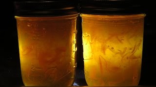 How to make Orange Marmalade - FAST (1 Hour) | Useful Knowledge