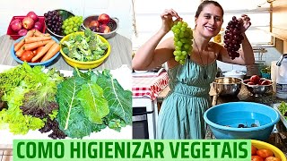 COMO HIGIENIZAR FRUTAS LEGUMES E VERDURAS CORRETAMENTE como higienizar vegetais DAIANE SALUSTRIANO