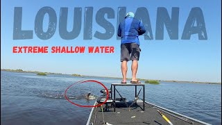 Sight Fishing Reds In The South Louisiana Marsh