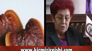 Ganoderma - Kırmızı Reishi Mantarı Hakkında Prof Dr Afife Mat'ın Görüşleri