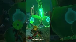 Not another Korok video