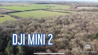 DJI MINI 2 Drone. Apley Woods. Lincolnshire.