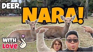 Is Nara Worth Visiting? Things to Do in Nara! | MOJHI VLOG