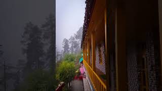 current temperature in kasol now 😍 rain slow-motion #youtubeshorts #manali #kasol #rain #shorts