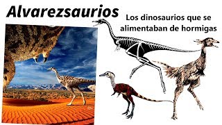 Alvarezsaurios. Los extraños dinosaurios que comían hormigas