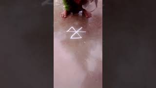 Beautiful deepam kolam/simple Rangoli #Easykolam/daily kolam #karthigaimathakolam #shorts