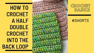 How to crochet Half Double Crochet (hdc) stitch into the back loop || Beginner tutorial || #SHORTS