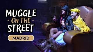 Experience The Magic of Harry Potter in Madrid | Muggle On The Street