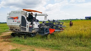 Kubota DC105X Rice harvester working skills really cool and powerful agricultural machines