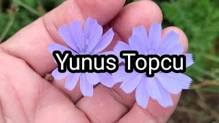 Kur'an'ın Özeti; Fatiha Suresi (Beşinci Bölüm) | Yunus Topcu